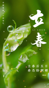 24节气立春竖版视频海报[节令]视频