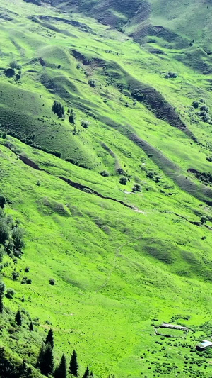 航拍新疆奇台江布拉克草原自然美景旅游新疆草原18秒视频
