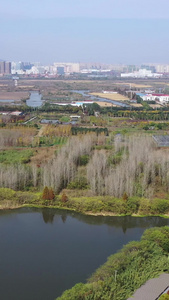 航拍沙家浜风景区 江苏沙家浜景区视频