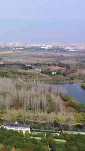 航拍沙家浜风景区 江苏沙家浜景区视频