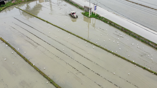 机械化犁田航拍 视频