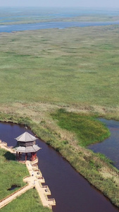 山东黄河口国家湿地航拍视频自然风光视频