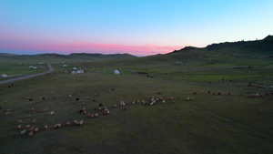 航拍日落下阿勒泰那仁大草原与牧归羊群视频46秒视频