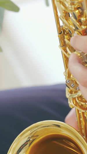 萨克斯吹奏指法特写弦乐器17秒视频