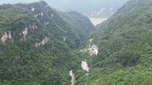 航拍湖北襄阳植物园植物 视频