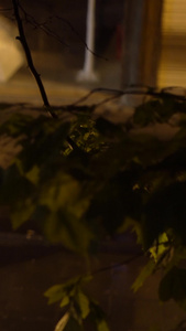 雨夜中的路灯情绪素材视频