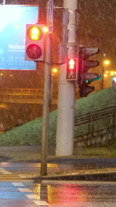 冬天夜晚欧洲街头下雪的景色大雪纷飞视频