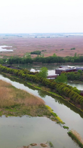 航拍5A景区洪泽湖湿地自然保护区景点水生植物园视频湿地公园视频