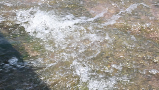 森林山泉溪水河流视频