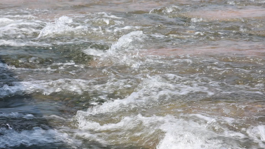 森林山泉溪水河流视频