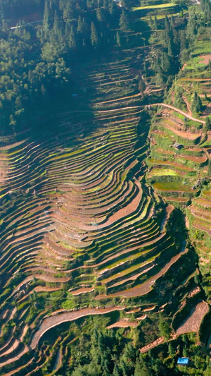 航拍贵州黔东南苗族加榜梯田风景区素材83秒视频