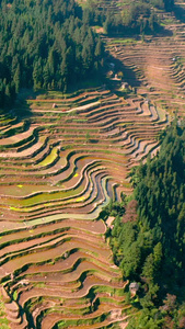 航拍贵州黔东南苗族加榜梯田风景区素材视频