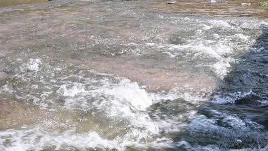 森林山泉溪水河流视频