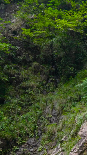 5A风景区明月山瀑布山泉实拍合集39秒视频