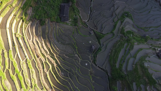 山区梯田自然风光航拍视频