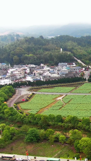 航拍5A景区古田旅游区全景视频旅游景点48秒视频