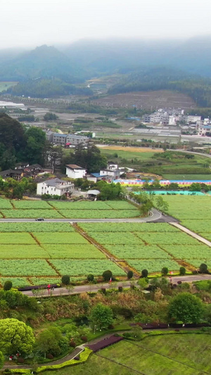 航拍5A景区古田旅游区全景视频风景名胜48秒视频