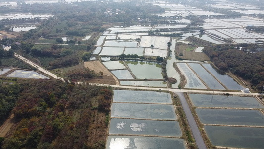 溧阳水田视频