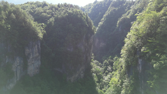 祖国壮丽河山湖北神农架画廊谷航拍视频