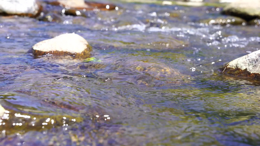 小河流水 清澈的溪水视频