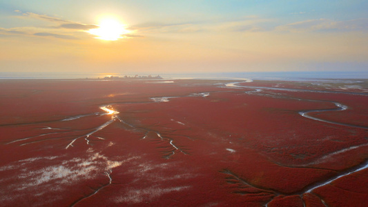 4K红海滩国家风景廊道湿地5A级风景区落日夕阳云层视频