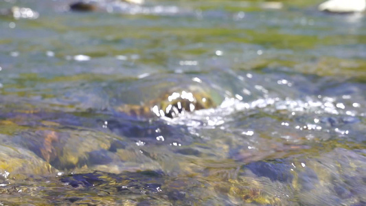 小河流水 清澈的溪水视频