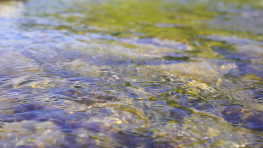 小河流水 清澈的溪水视频