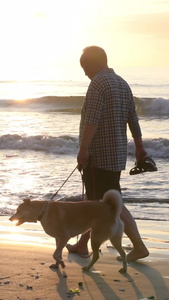 海边遛狗的老人宠物狗视频