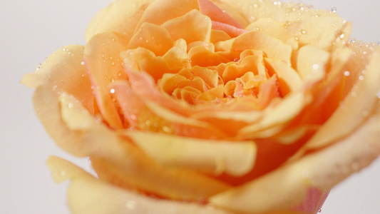 水珠玫瑰花精华成分 护肤品化妆品素材视频