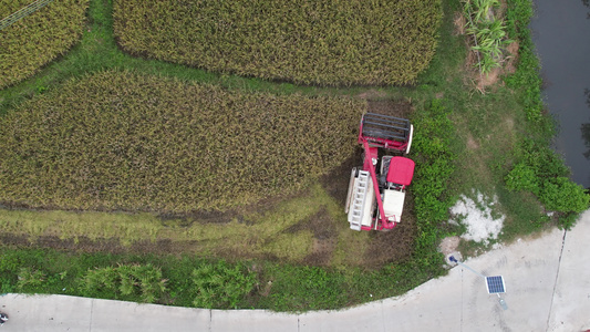 现代机械农业收割水稻航拍视频