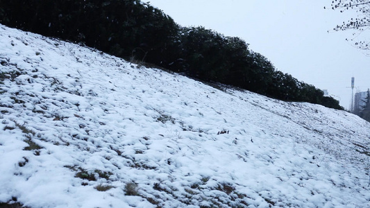 傍晚山坡上下雪视频