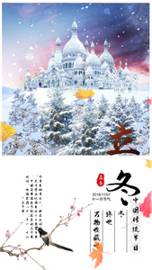 简洁传统节日立冬视频海报视频