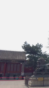 北京颐和园入口参观的游客清漪园视频