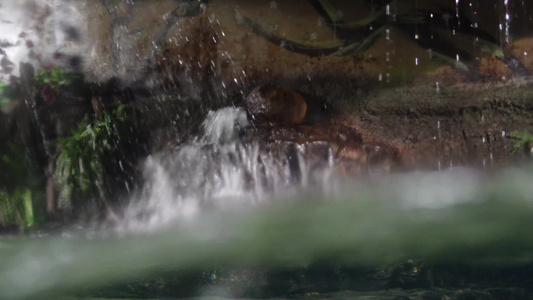 瀑布水流流水风景水波纹视频