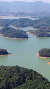 广东开平孔雀湖湿地风光自然风光视频