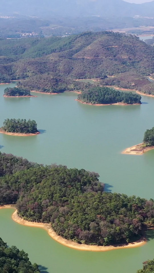 广东开平孔雀湖湿地风光自然风光28秒视频