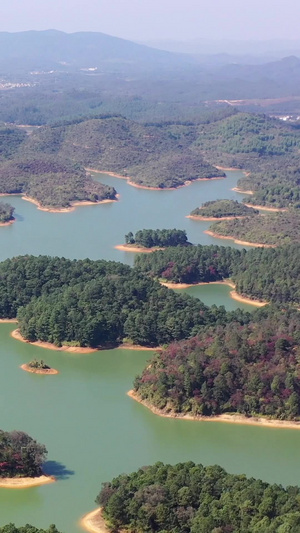 广东开平孔雀湖湿地风光自然风光28秒视频