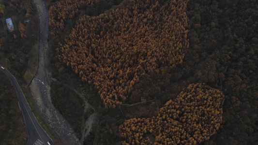 空中拍摄四川光雾山视频