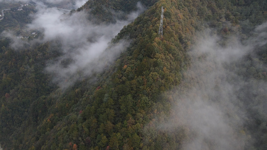 云雾缭绕的光雾山航拍视频