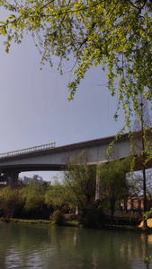 4K天桥下的公园视频