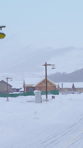 西北雪地放牧归去旅游景点视频