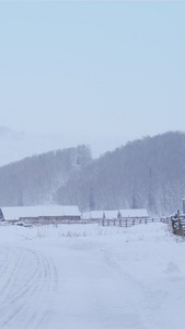 西北雪地放牧归去放牧老人视频