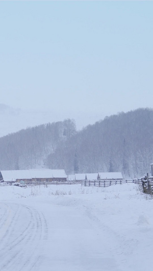 西北雪地放牧归去放牧老人31秒视频