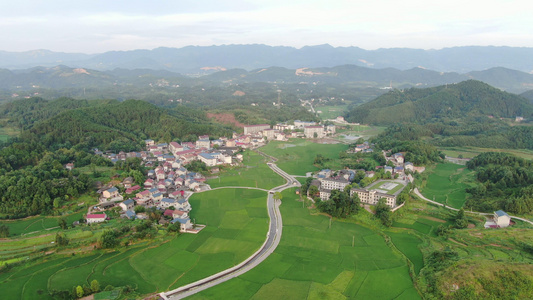 4K航拍乡村农业种植稻田风貌视频