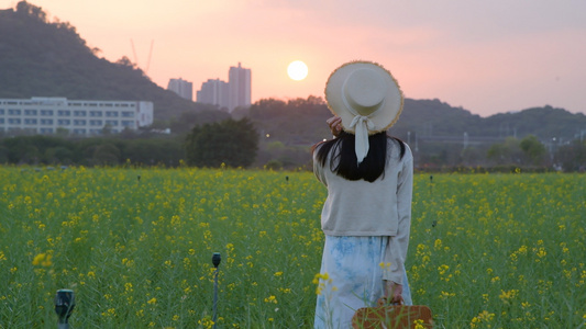  4K夕阳油菜花海中的少女视频