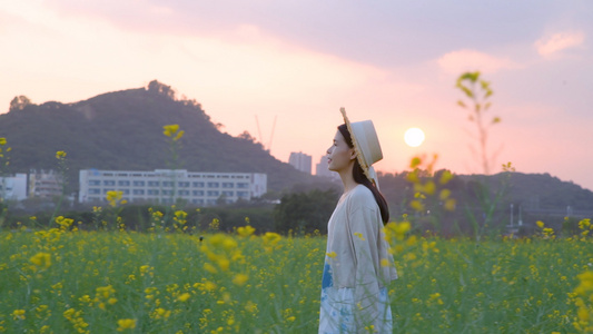 4K夕阳油菜花海里的少女视频