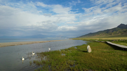 航拍5A赛里木湖天鹅湿地景观区视频视频