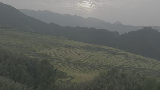 4k欧家梯田视频