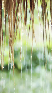 实拍茅草屋下雨天滴水视频