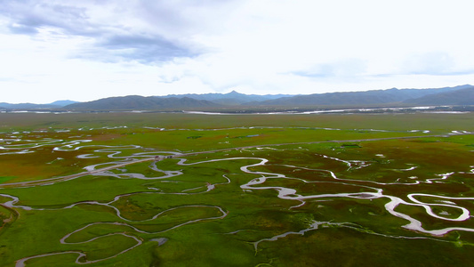 航拍甘南藏族自治州阿万仓湿地公园景区视频视频